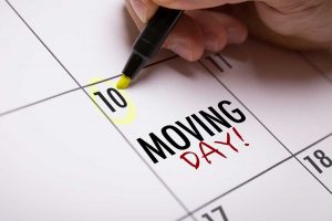 Plan Your Next Move